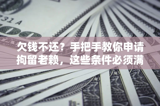 武汉欠钱不还?手把手教你申请拘留老赖,这些条件必须满足! 武汉欠钱不还?手把手教你申请拘留老赖,这些条件必须满足!